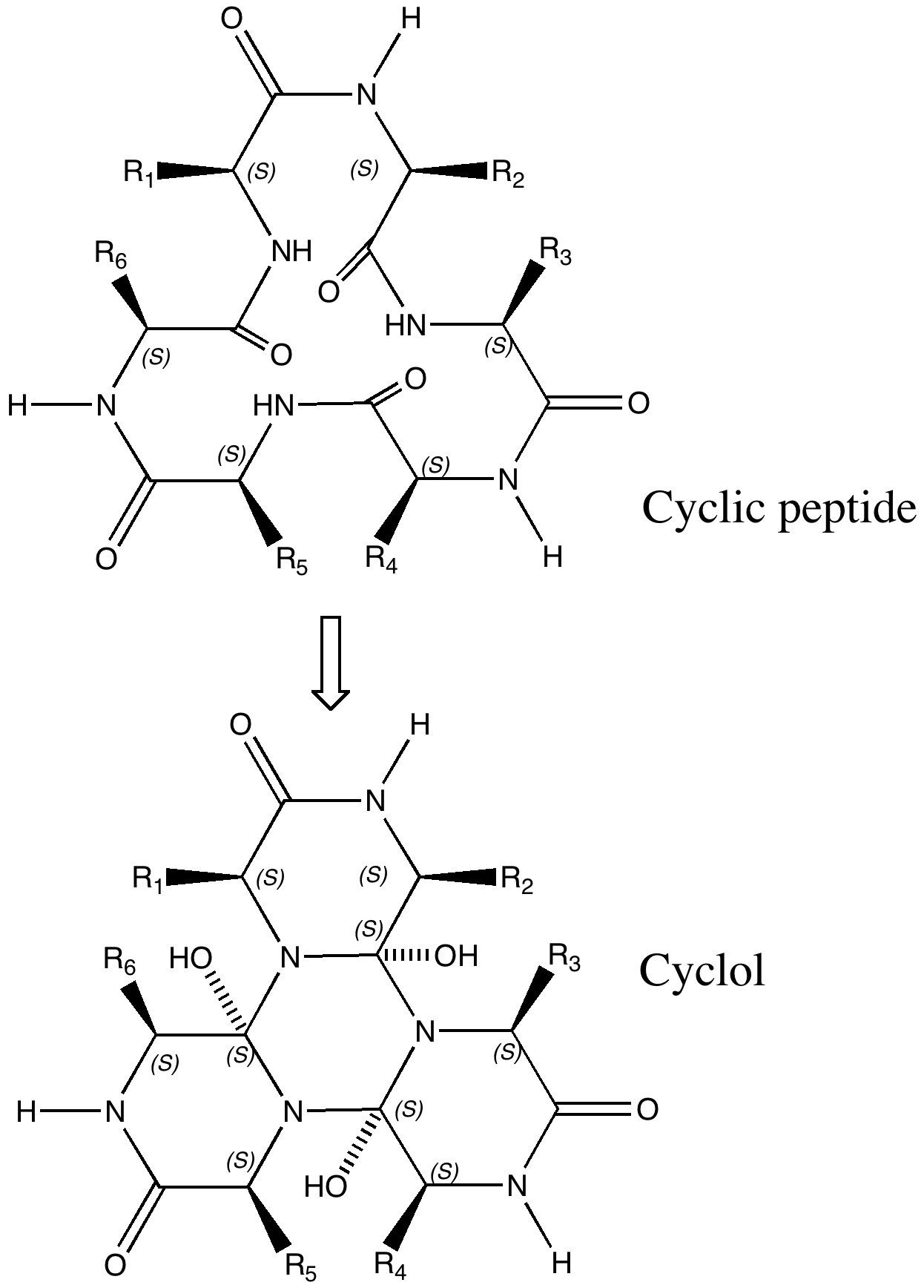 cyclol