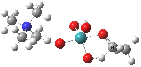 tpap-ts2