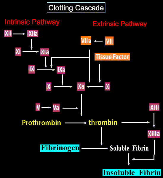 cascade