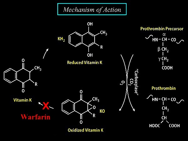 mechanism